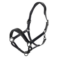 Halster Imperial Riding Hera Schwarz