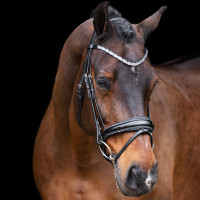 Kandare Impérial Riding Olympia Schwarz Silber