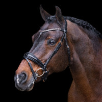 Kandare Impérial Riding Olympia Schwarz Silber Kandare Impérial Riding Olympia Schwarz Silber