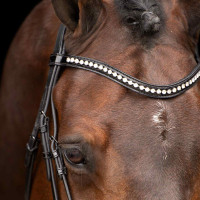 Trense Impérial Riding Athena Schwarz Trense Impérial Riding Athena Schwarz