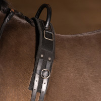 Longiergurt Imperial Riding Vito Schwarz Longiergurt Imperial Riding Vito Schwarz