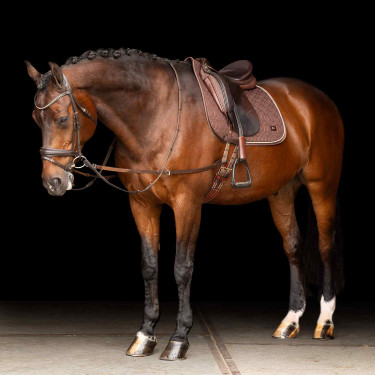 Elastische Hilfszügel Imperial Riding Braun