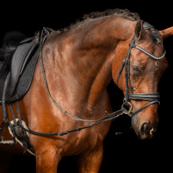 Elastische Hilfszügel Imperial Riding Elastische Hilfszügel Imperial Riding
