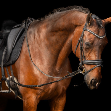 Elastische Hilfszügel Imperial Riding Elastische Hilfszügel Imperial Riding