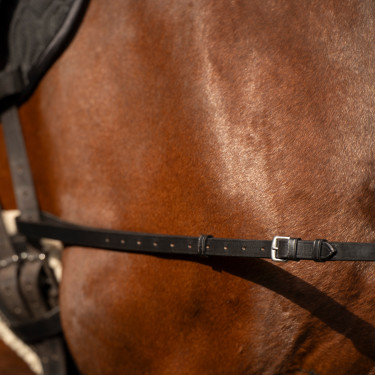 Elastische Hilfszügel Imperial Riding Elastische Hilfszügel Imperial Riding