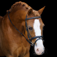 Trensenzaum Shetland Imperial Riding Stormy Schwarz / Kristall