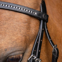 Trensenzaum Shetland Imperial Riding Stormy Schwarz / Kristall Trensenzaum Shetland Imperial Riding Stormy Schwarz / Kristall