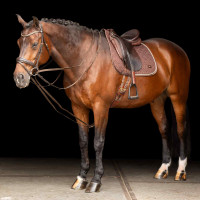 Deutsche Zügel SH Imperial Riding Core Braun
