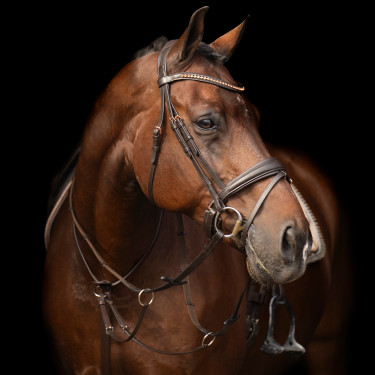 Martingal Imperial Riding Core Martingal Imperial Riding Core