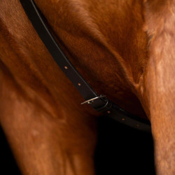 Martingal Imperial Riding Core Schwarz Martingal Imperial Riding Core Schwarz