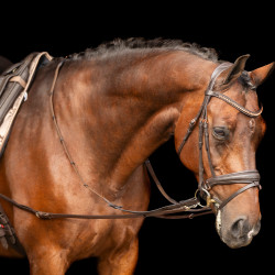 Hilfszügel Imperial Riding Core Braun