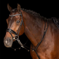 Thiedemann-Zügel Imperial Riding Core Schwarz