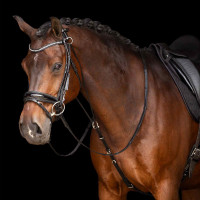 Chambon Imperial Riding Core Schwarz Chambon Imperial Riding Core Schwarz