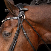 Chambon Imperial Riding Core Schwarz Chambon Imperial Riding Core Schwarz