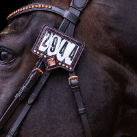 Nummernhalter für Schabracke Imperial Riding Show and Glow Braun / Krokobraun