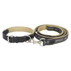 HV Polo Iconic Hundehalsband HV Polo Iconic Hundehalsband
