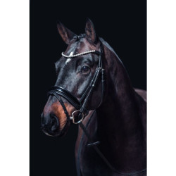 Bridon Fleur HKM Schwarz Bridon Fleur HKM Schwarz