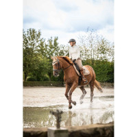 Fliegenhaube Lavender Bay HKM Maulwurf Braun Fliegenhaube Lavender Bay HKM Maulwurf Braun