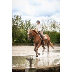 Fliegenhaube Lavender Bay HKM Fliegenhaube Lavender Bay HKM