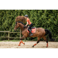 Polo-Bandagen Edinburgh HKM Brandy Braun