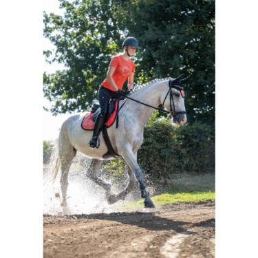 Fliegenhaube Savona Style HKM Fliegenhaube Savona Style HKM