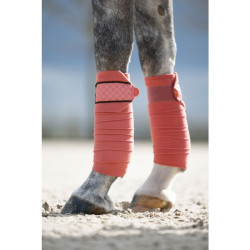 Polobanden Rosewood HKM Rost Braun