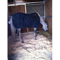 Hauptmatte – Boxenboden