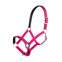 Halfter Charming weiches Futter HKM Pink Rosa