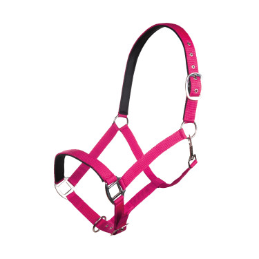 Halfter Charming weiches Futter HKM Halfter Charming weiches Futter HKM