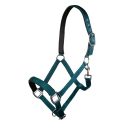 Halfter Charming weiches Futter HKM Dunkelgrün Grün Halfter Charming weiches Futter HKM Dunkelgrün Grün