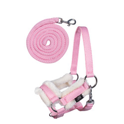 Halfter und Führstrick Hobby Horsing HKM Halfter und Führstrick Hobby Horsing HKM