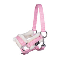 Halfter und Führstrick Hobby Horsing HKM Pink Halfter und Führstrick Hobby Horsing HKM Pink
