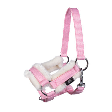 Halfter und Führstrick Hobby Horsing HKM Halfter und Führstrick Hobby Horsing HKM