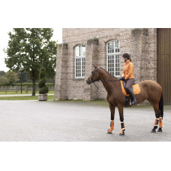 Allure Schabracke Pferd HKM Allure Schabracke Pferd HKM