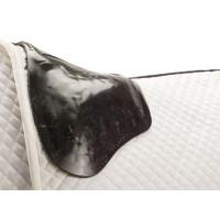 Stoßdämpfer und Vorderer Acavallo Gel Riser Schwarz Stoßdämpfer und Vorderer Acavallo Gel Riser Schwarz