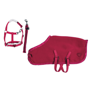 Starter-Set Cuddle Pony HKM