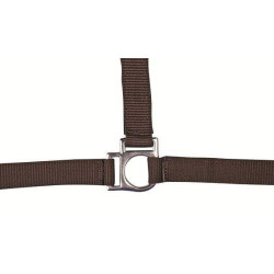 Halfter Stars HKM