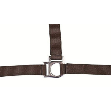 Halfter Stars HKM