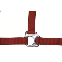 Halfter Stars Economy HKM Rot