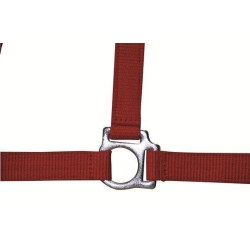 Halfter Stars Economy HKM Rot