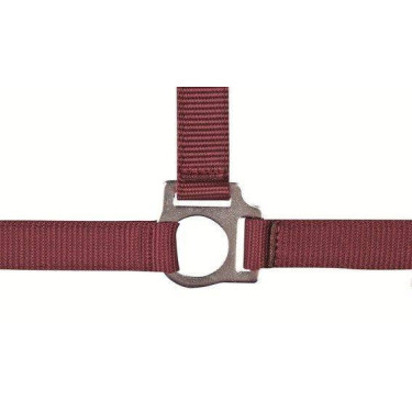 Halfter Stars Economy HKM Dunkelrot Halfter Stars Economy HKM Dunkelrot