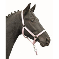 Halfter Stars Economy Softice HKM Milchrosa