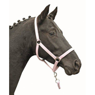 Halfter Stars Economy Softice HKM Milchrosa