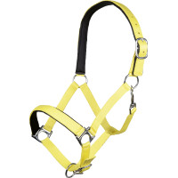 Halfter Stars Softice weiches Futter HKM Neongelb
