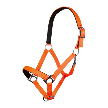 Halfter Stars Softice weiches Futter HKM