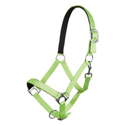 Halfter Stars Softice weiches Futter HKM Halfter Stars Softice weiches Futter HKM