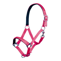 Halfter Stars Softice weiches Futter HKM Pink Rosa