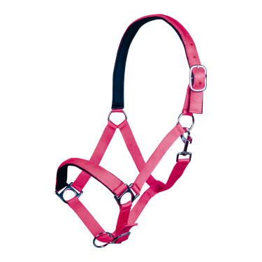 Halfter Stars Softice weiches Futter HKM Pink Rosa