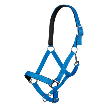 Halfter Stars Softice weiches Futter HKM Königsblau