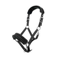Nylonhalfter Glitter mit Fleecepolsterung HKM Schwarz Nylonhalfter Glitter mit Fleecepolsterung HKM Schwarz